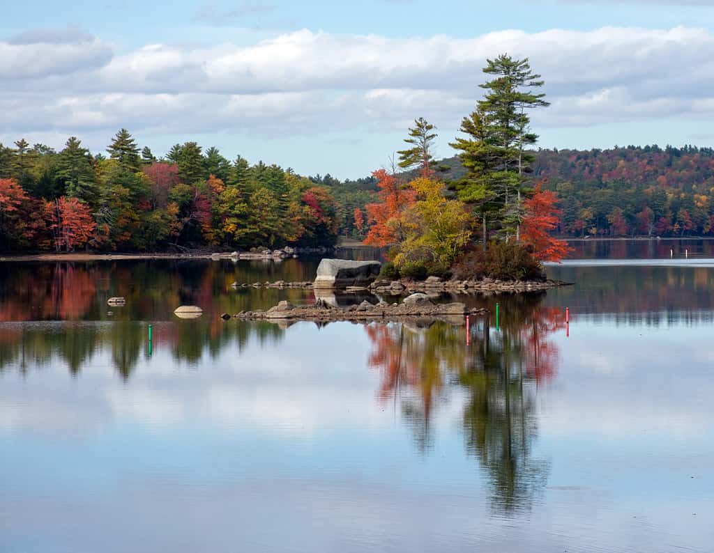 Fogliame autunnale lungo il lago Sebago nel Maine