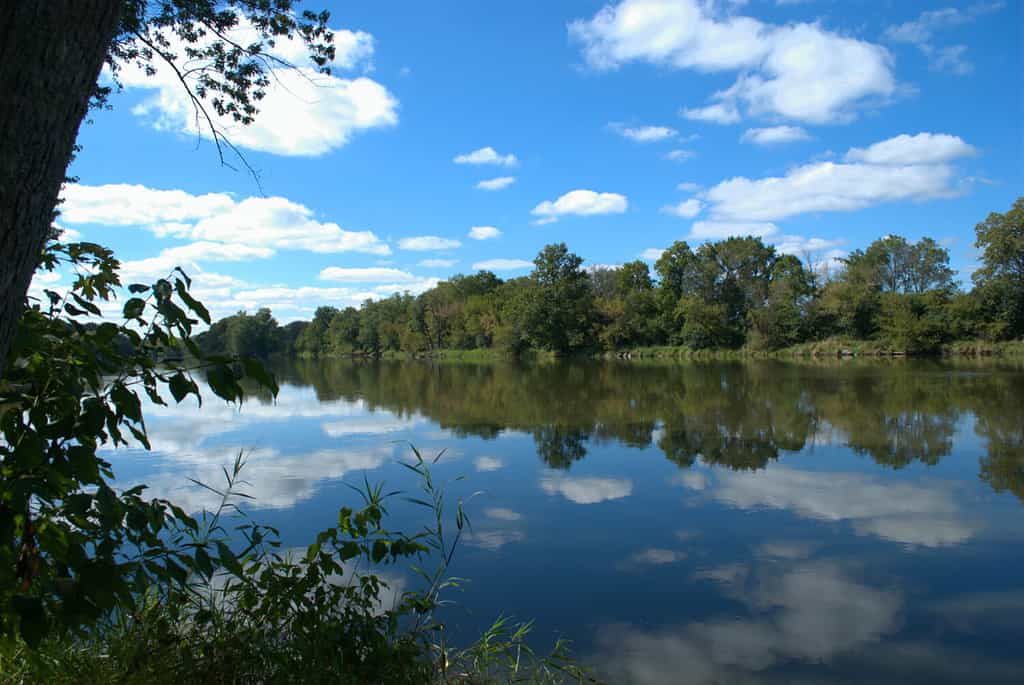 Fox River, Silver Springs State Park, Yorkville, Illinois, Stati Uniti