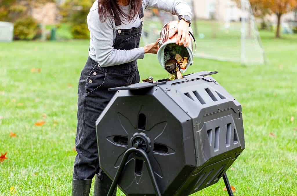 Una donna sta scaricando un piccolo bidone di scarti di cucina in un composter all'aperto nel giardino sul retro.  Queste unità in plastica con gambe in metallo possono ruotare per una migliore aerazione e un rapido compostaggio.