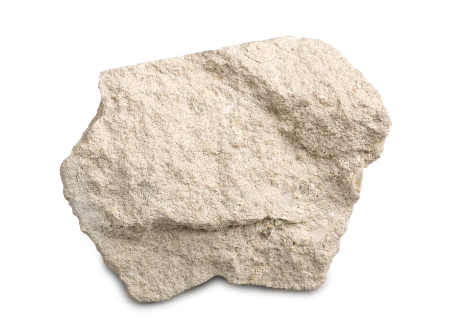 Calcare isolato su sfondo bianco.  Il calcare è una roccia sedimentaria composta da frammenti scheletrici di organismi marini.