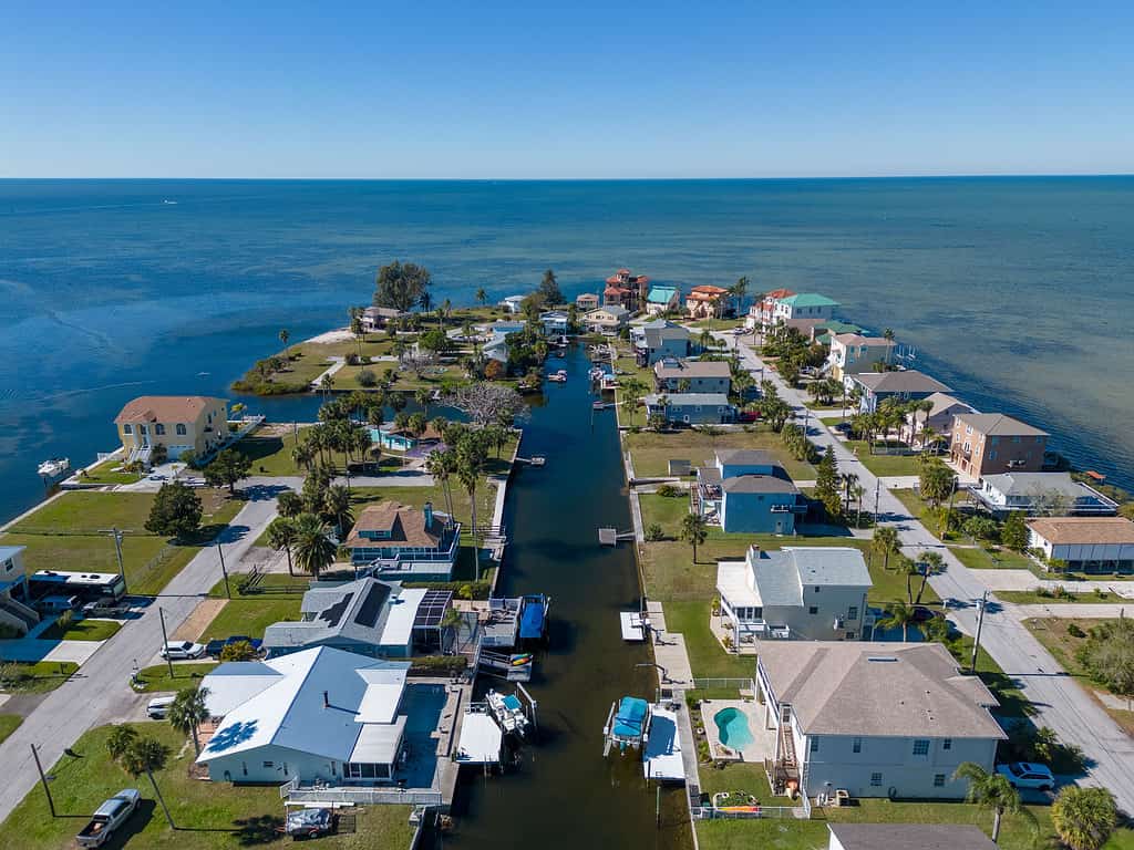 Veduta aerea di un quartiere di New Port Richey, in Florida, immerso nel verde