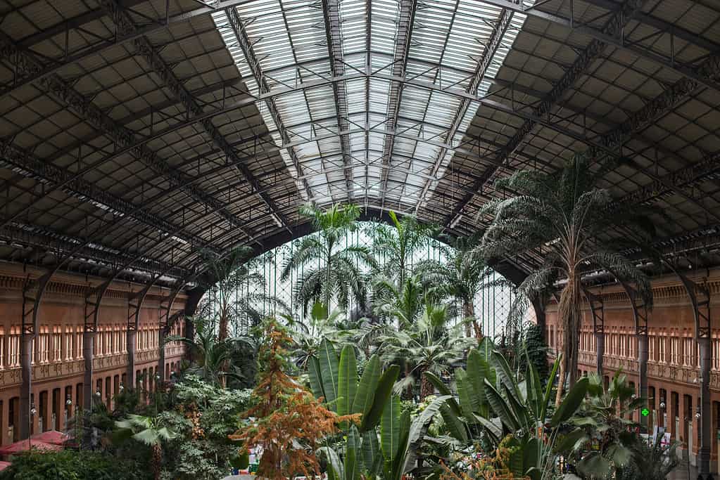 Giardino tropicale in una stazione ferroviaria principale europea