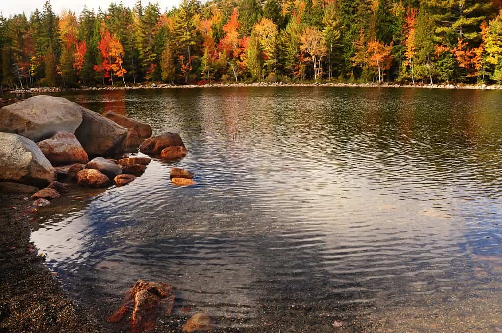 Bellissima vista sul lago autunnale.  Riflesso di alberi rossi, gialli arancioni nella calma superficie liscia del lago.  Un tripudio di colori autunnali.  Parco Nazionale dell'Acadia.  STATI UNITI D'AMERICA.  Maine