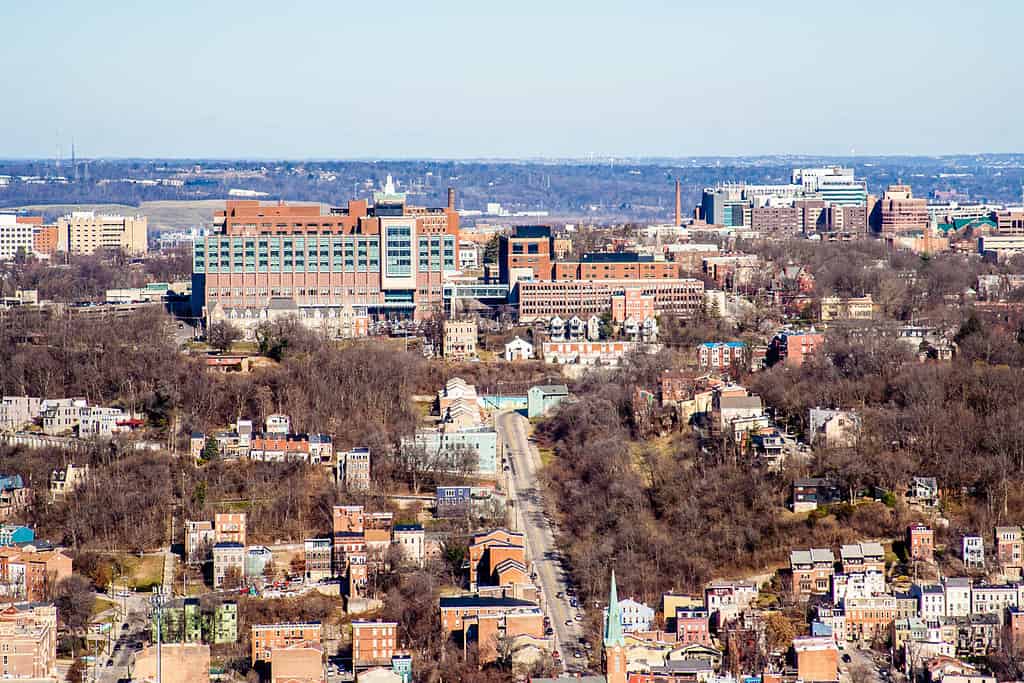 Veduta di Cincinnati dalla cima della Carew Tower