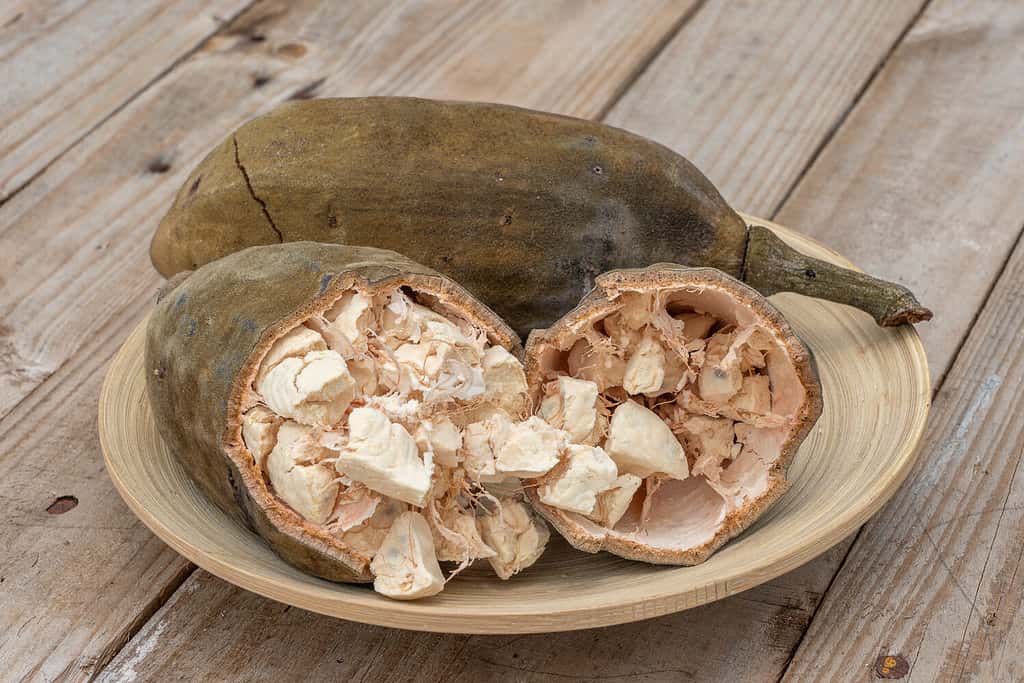 Frutto di baobab o Adansonia digitata su piatto, polpa e polvere, supercibo sull'isola di Zanzibar, Tanzania, Africa orientale.  Avvicinamento
