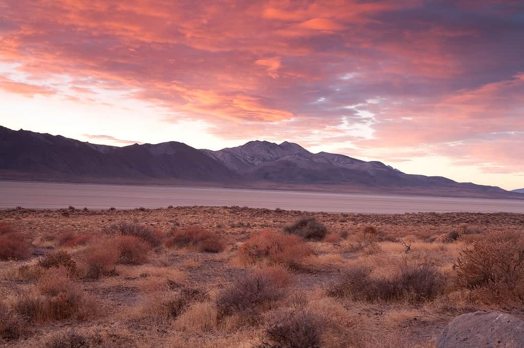 Immagine del deserto di Black Rock, Nevada.  Mostra una pianura erbosa con grandi montagne sullo sfondo.