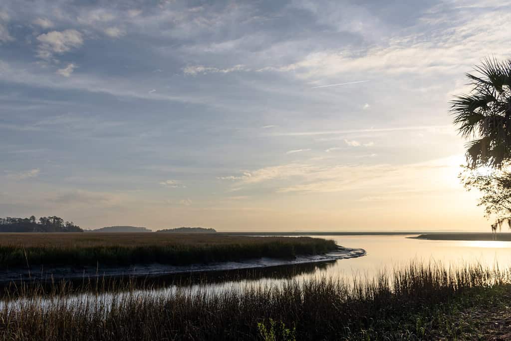 Uno splendido sfondo paesaggistico della palude salata di pianura vicino all'isola di Sapelo, sulla costa della Georgia, negli Stati Uniti, sede di un importante centro di ricerca sull'estuario marino.