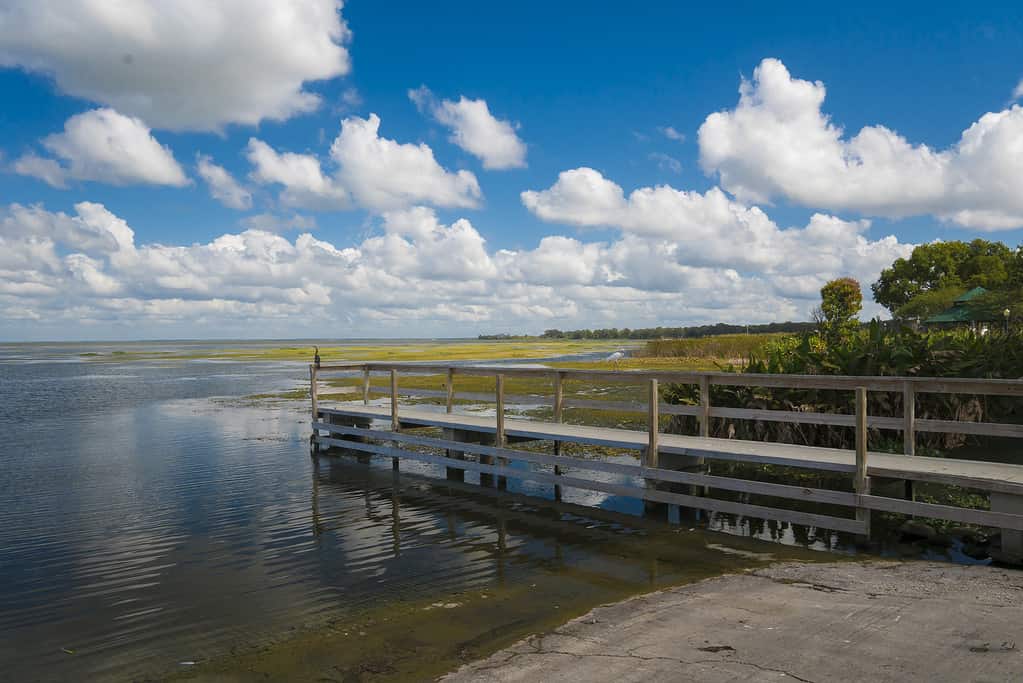 Bellissimo lago Apopka situato nella Florida centrale con nuvole e cielo blu profondo in una magnifica giornata.
