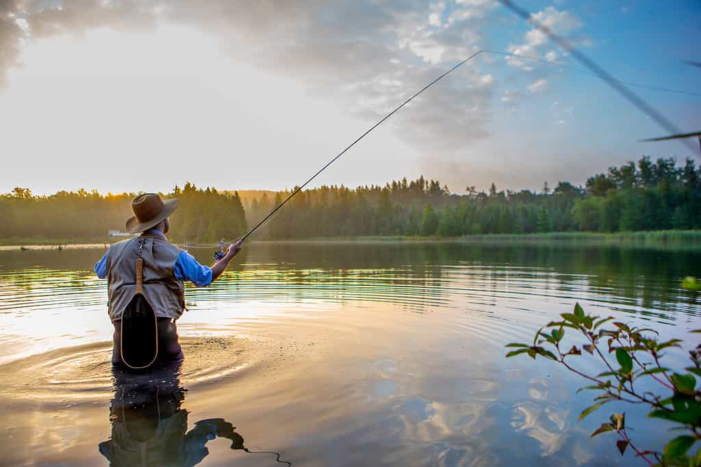 Pesca a mosca del giovane all'alba