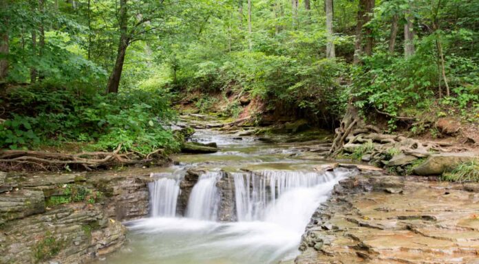 Una cascata a Saunders Springs a Radcliff, Kentucky.