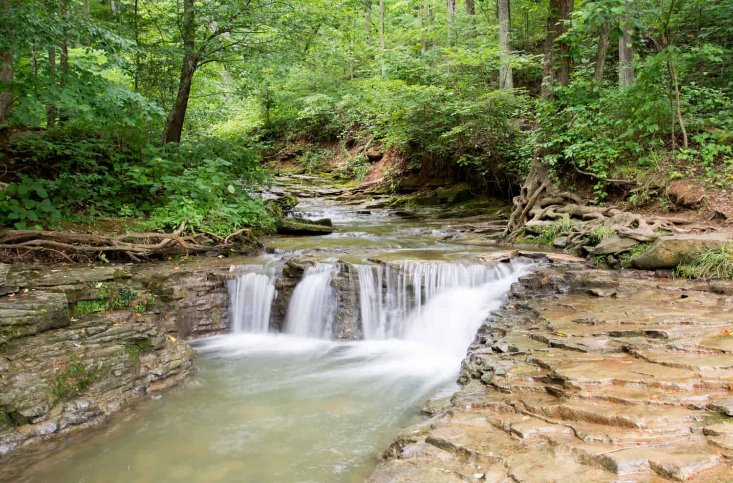 Una cascata a Saunders Springs a Radcliff, Kentucky.