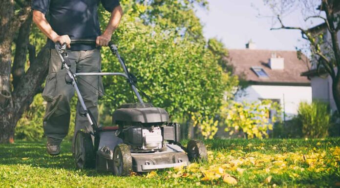 Falciare l'erba con un tosaerba all'inizio dell'autunno.  Il giardiniere taglia il prato del giardino.