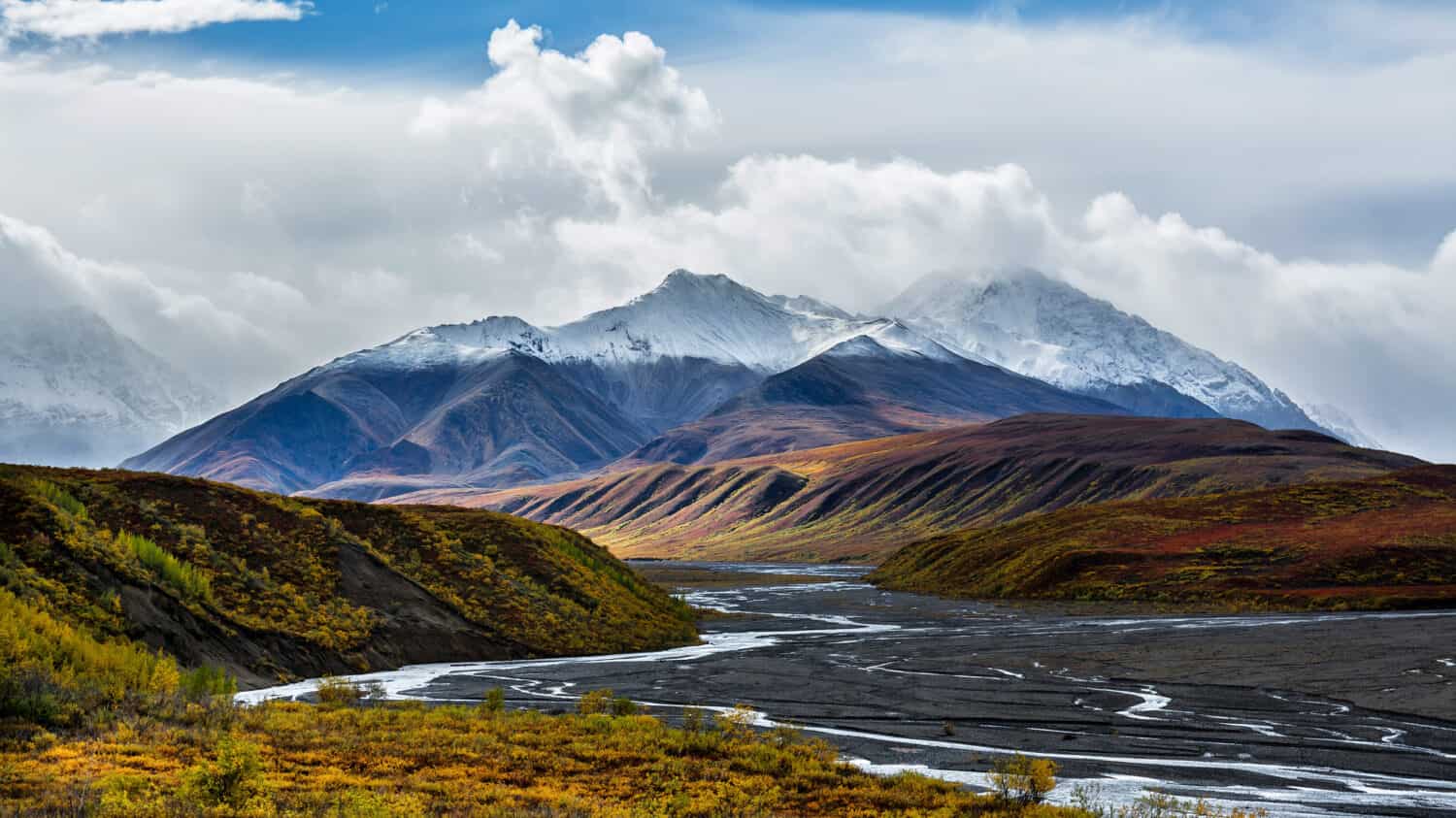 I canali intrecciati del fiume Toklat si snodano attraverso il colorato fogliame autunnale nel Parco nazionale di Denali, in Alaska.