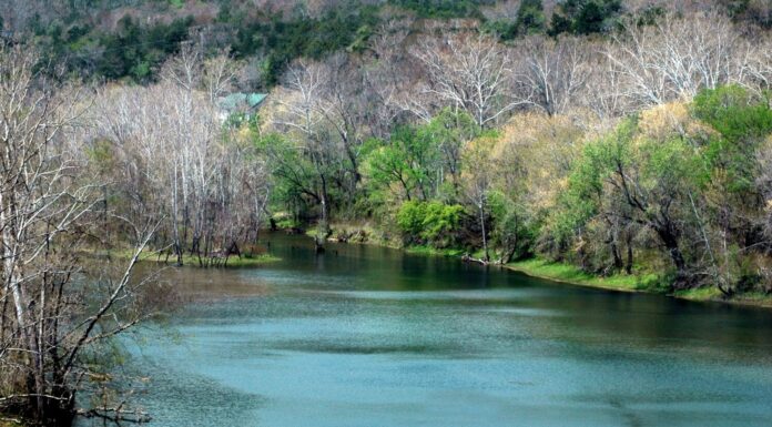 White River nelle montagne primaverili dell'Arkansas-Ozark