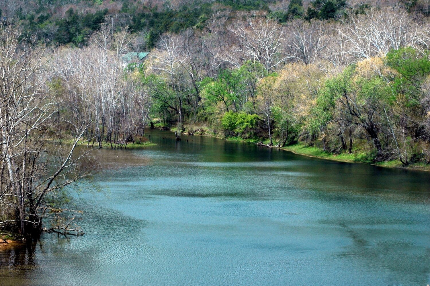 White River nelle montagne primaverili dell'Arkansas-Ozark