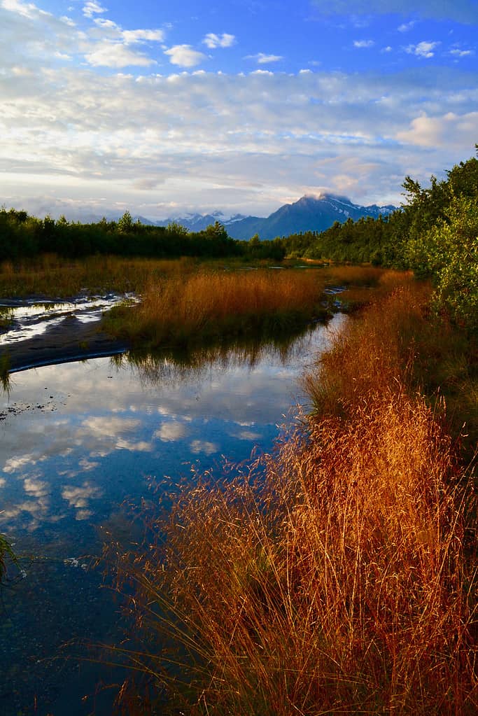 Contrasto sull'Alsek