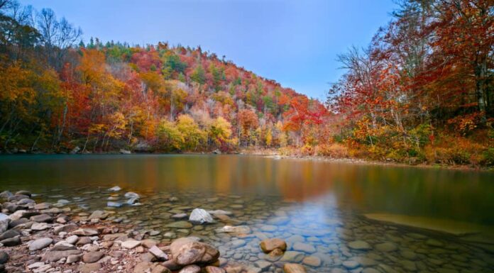 Il fiume Cumberland al fiume nazionale Big South Fork