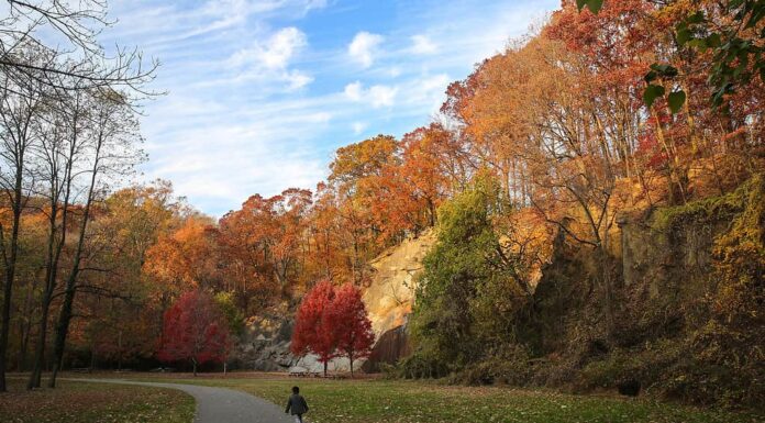 L'estate indiana è un periodo caldo durante l'autunno dopo che le temperature si sono già raffreddate.