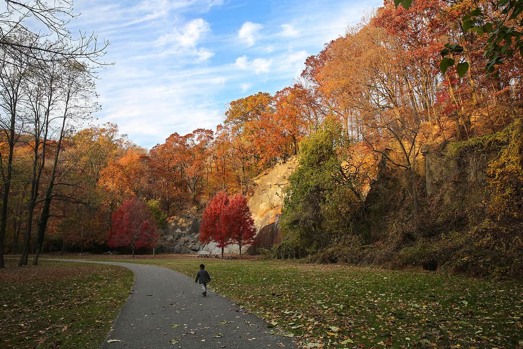 L'estate indiana è un periodo caldo durante l'autunno dopo che le temperature si sono già raffreddate.