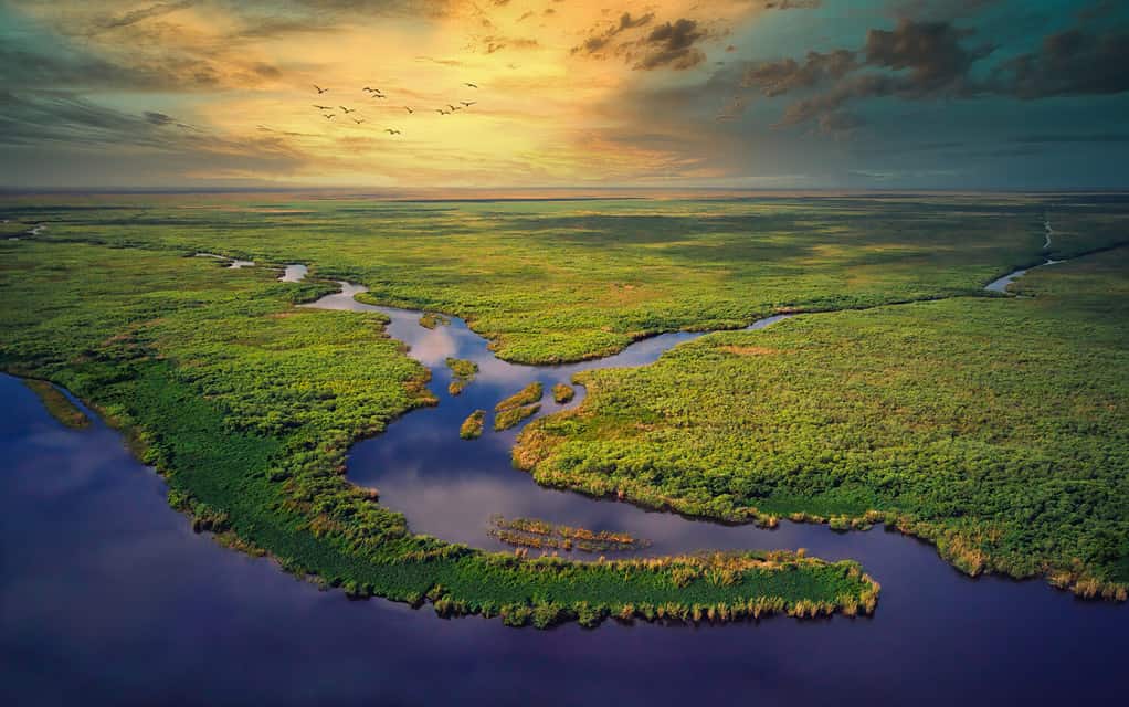Vista aerea del tramonto dell'ora d'oro delle Everglades della Florida