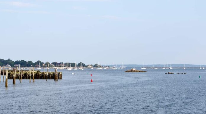 Barche a vela sul Long Island Sound nel porto di Stamford, Connecticut