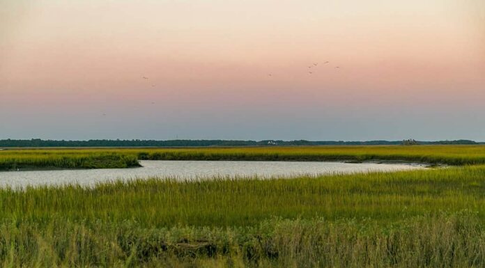 Tramonto sulla palude nella Carolina del Sud, Kiawah Island, Seabrook Island