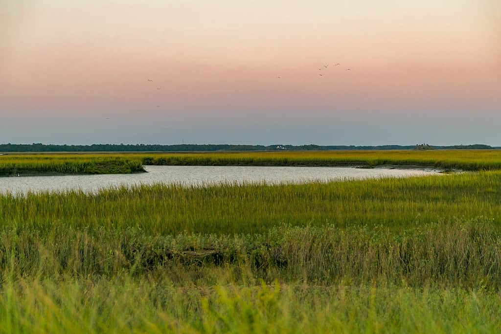 Tramonto sulla palude nella Carolina del Sud, Kiawah Island, Seabrook Island