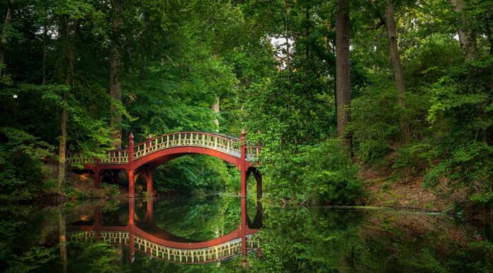 Ponte di legno ornato su un laghetto Crim Dell molto calmo nel campus del William and Mary College di Williamsburg, Virginia