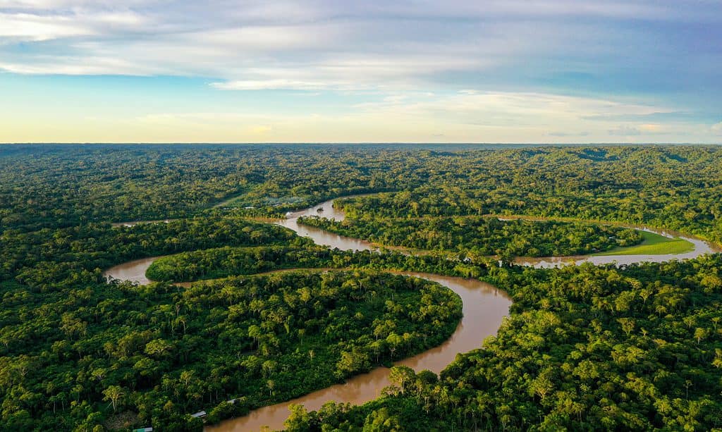 Foresta pluviale amazzonica