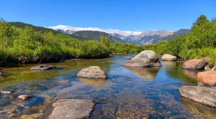 Big Thompson River - Il cielo blu estivo si riflette nel chiaro e calmo Big Thompson River nel Moraine Park del Rocky Mountain National Park, Colorado, USA.