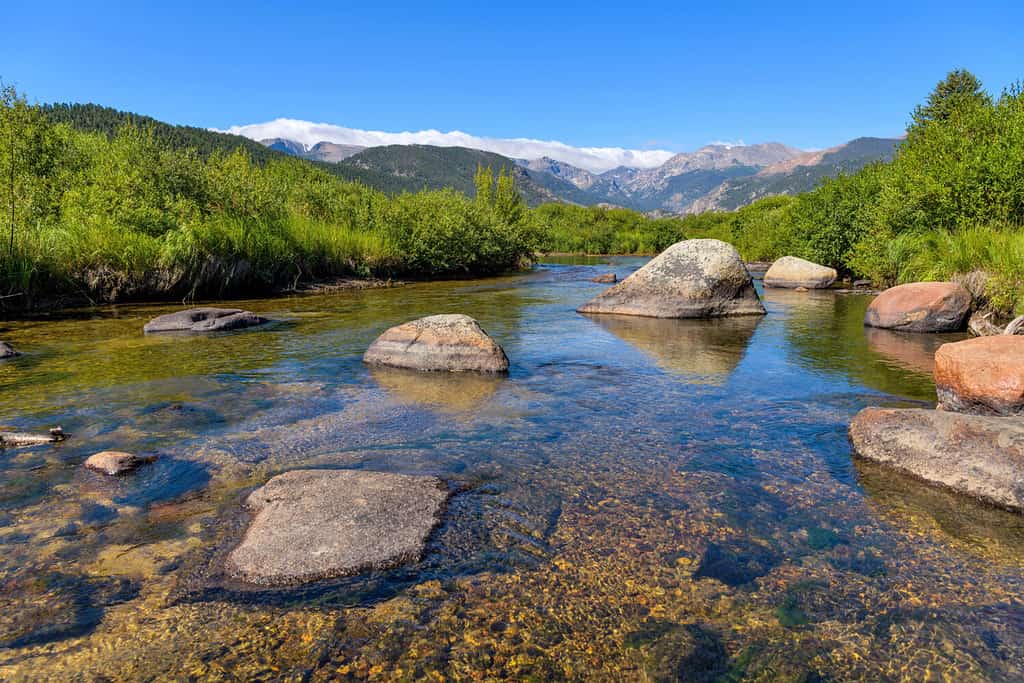 Big Thompson River - Il cielo blu estivo si riflette nel chiaro e calmo Big Thompson River nel Moraine Park del Rocky Mountain National Park, Colorado, USA.