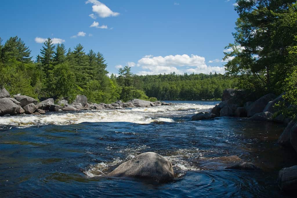 Il ramo occidentale del fiume Penobscot nel nord del Maine