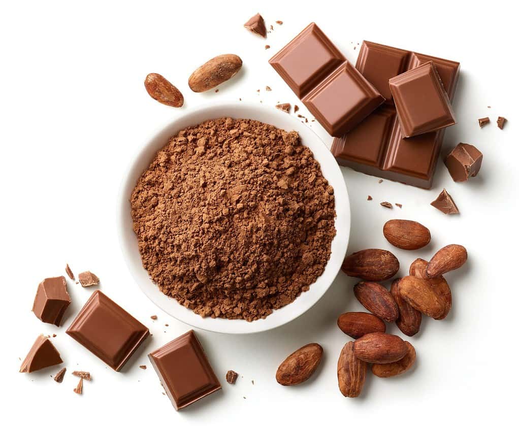 La parola cioccolato deriva dal nahuatl.