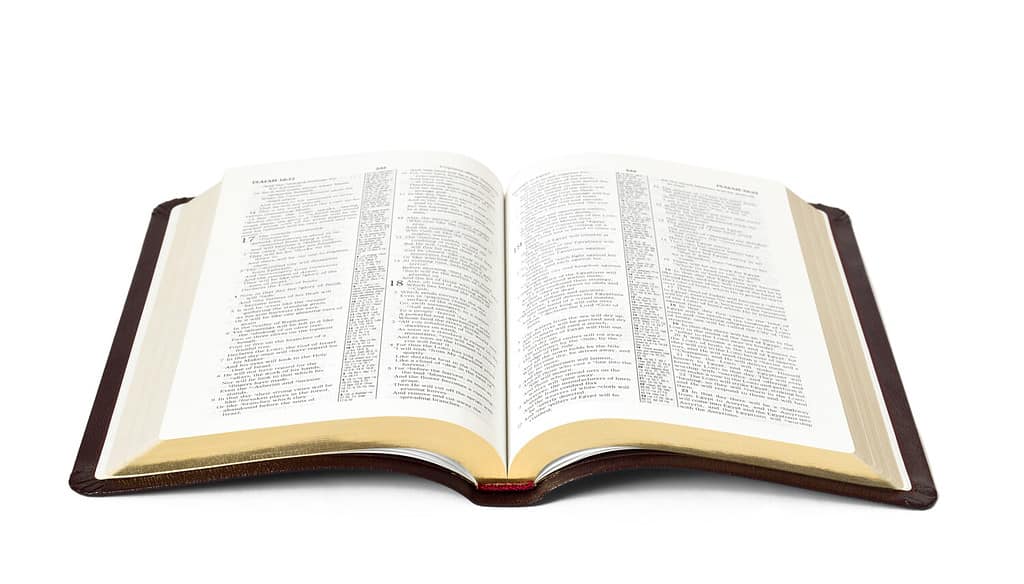 aprire il libro della Sacra Bibbia isolato su sfondo bianco