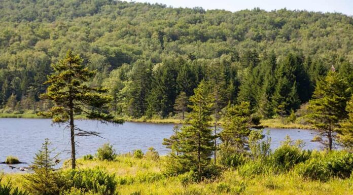 Schiarimento sul lago a Spruce Knob West Virginia