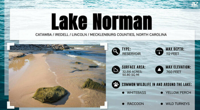 Quanto è largo il lago Norman della Carolina del Nord?
