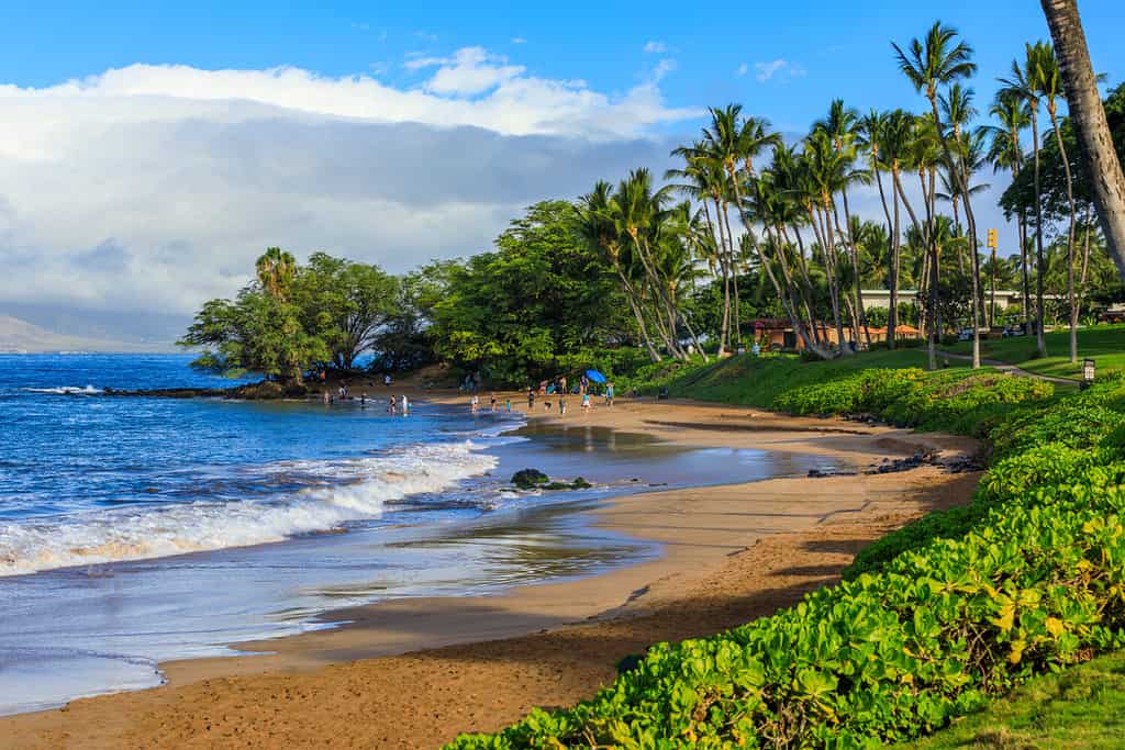 Wailea Beach vicino a Kihei, Maui, Hawaii, Stati Uniti d'America
