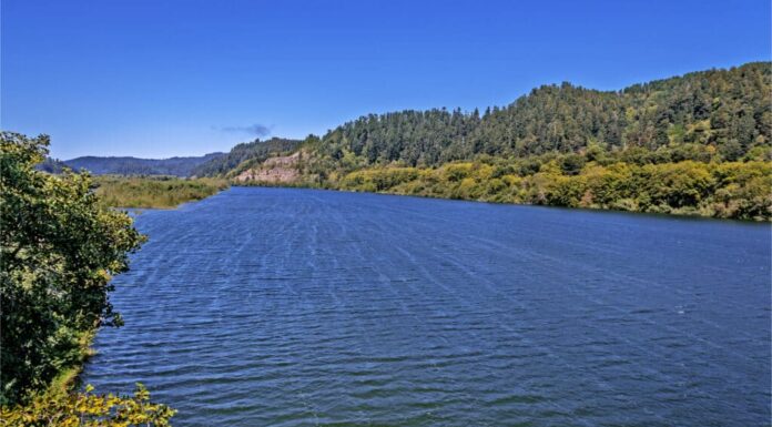 I fiumi della California settentrionale sono pericolosi perché sono freddi e imprevedibili.