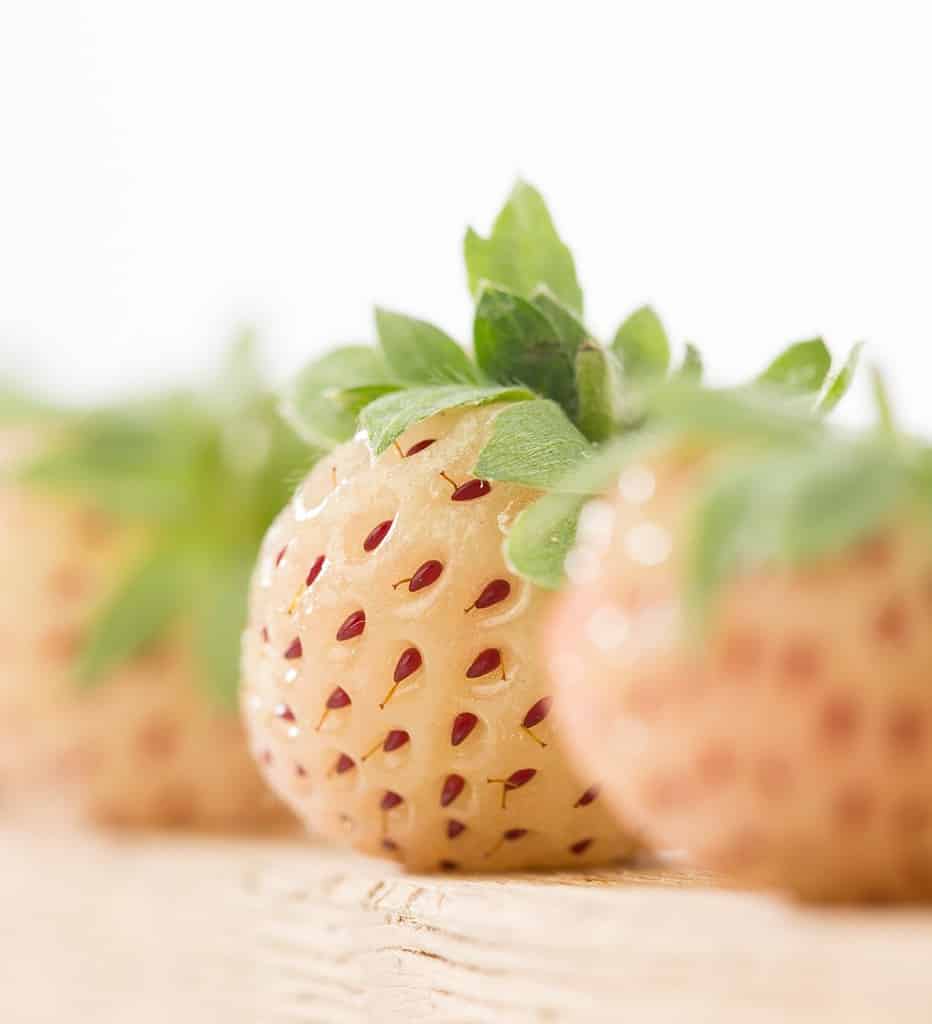 Pineberry