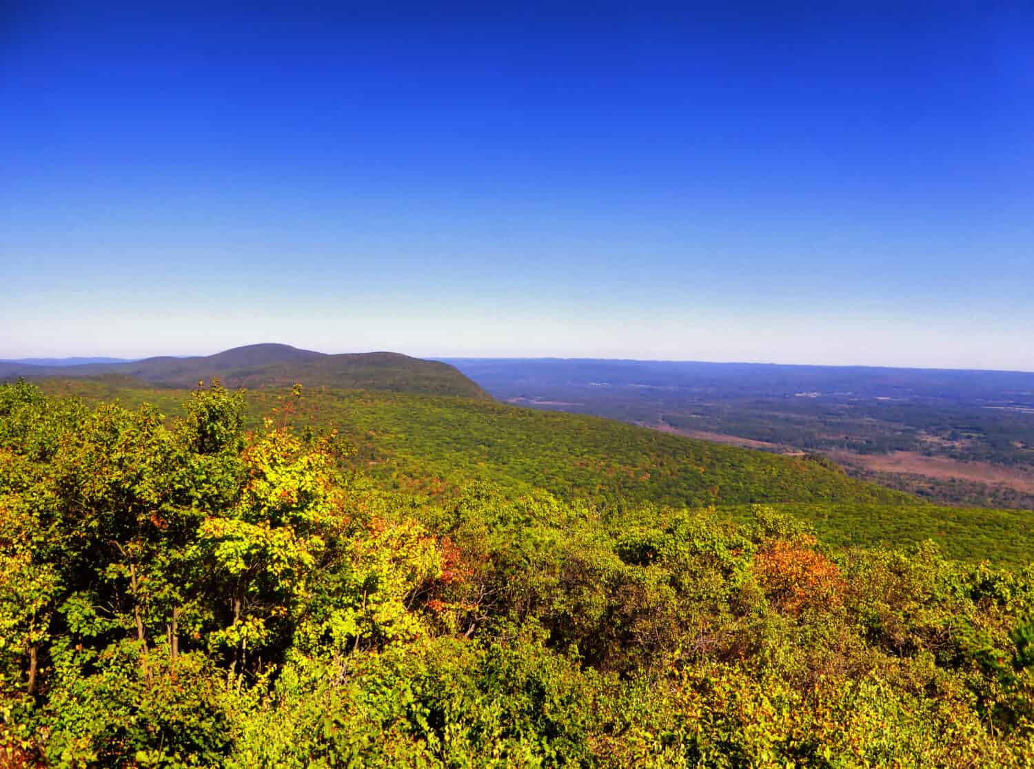 Bear Mountain, è una vetta prominente delle montagne Taconic meridionali.  Si trova all'interno della città di Salisbury, nel Connecticut, negli Stati Uniti.