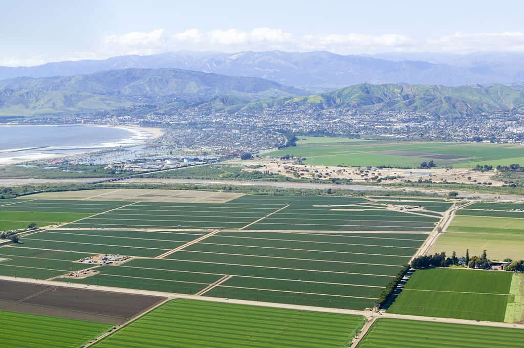 Vista aerea dei campi agricoli di Oxnard in primavera Ventura County, California