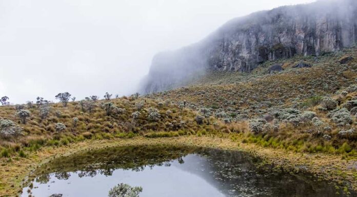 Parco Naturale Nazionale Los Nevados, Colombia