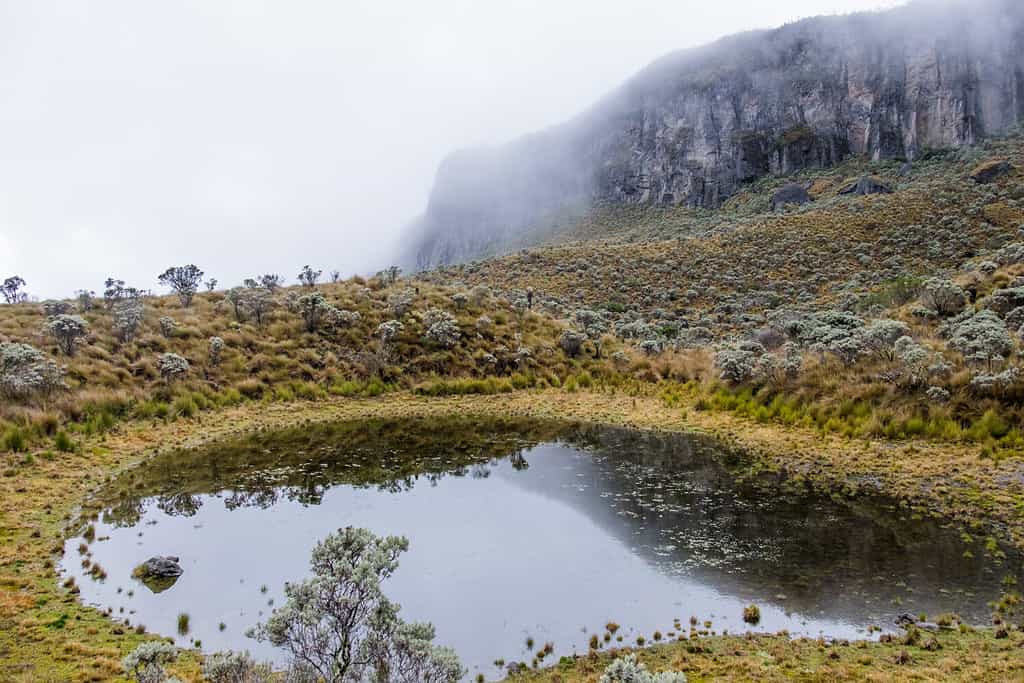 Parco Naturale Nazionale Los Nevados, Colombia