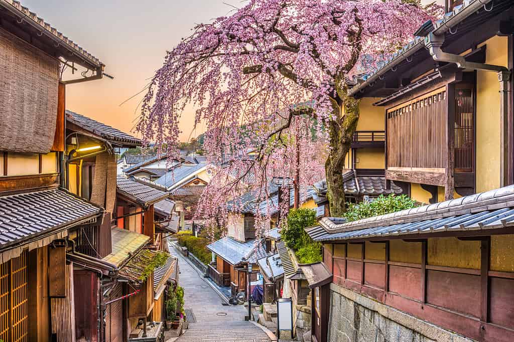 Kyoto, Giappone in primavera