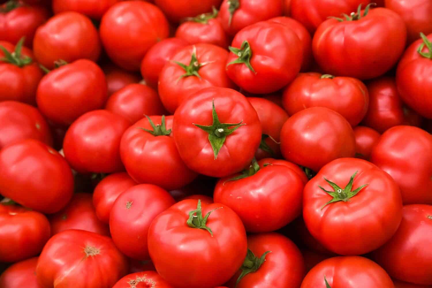 Pomodori adagiati uno sopra l'altro, consistenza del pomodoro.  Messa a fuoco selettiva.