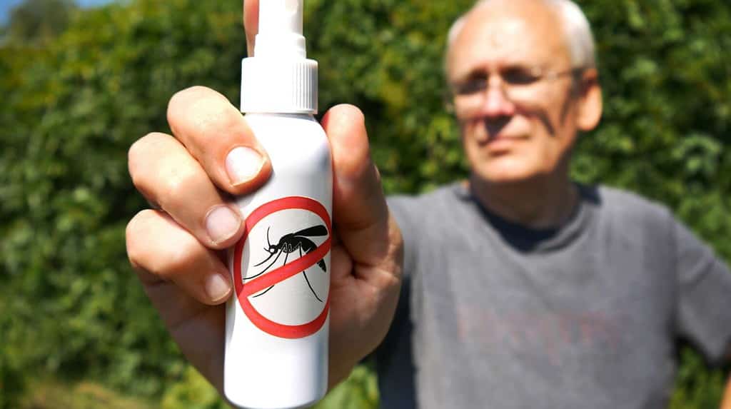 Primo piano della mano di un uomo che tiene un tubo spray per zanzare