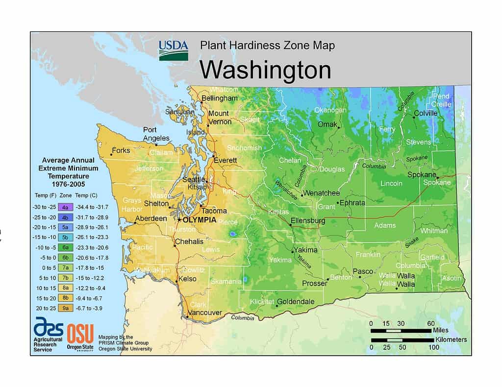 Mappa della zona USDA Hardiness dello Stato di Washington