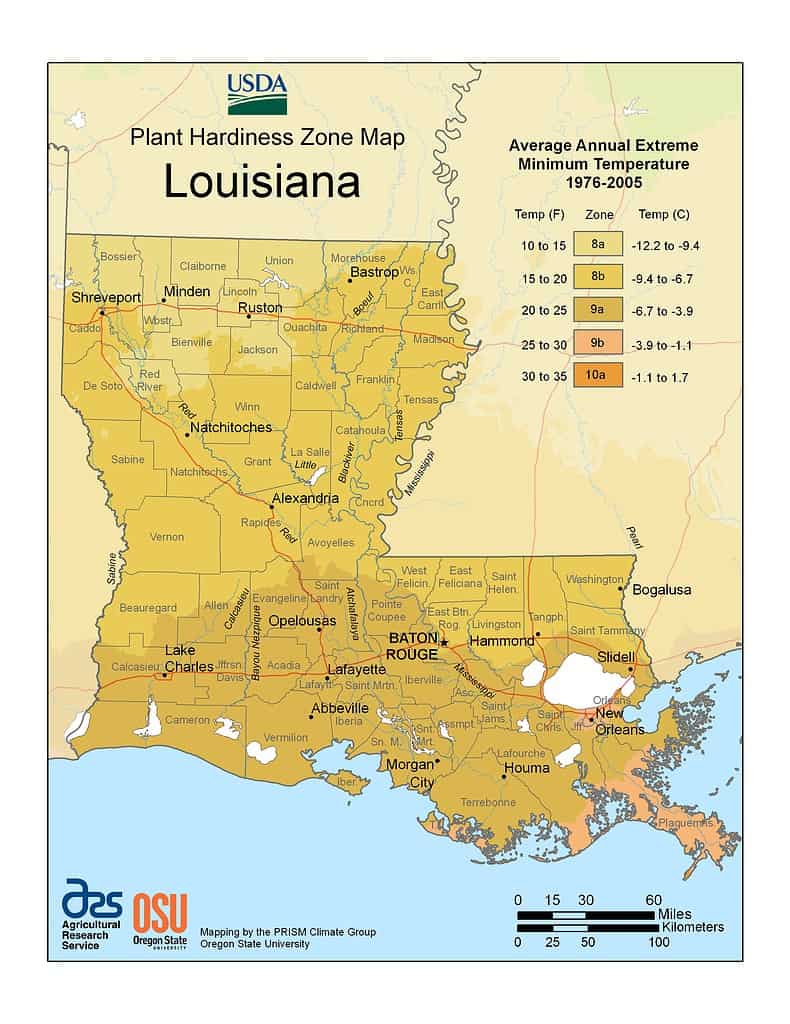 USDA Hardiness Zone Mappa della Louisiana