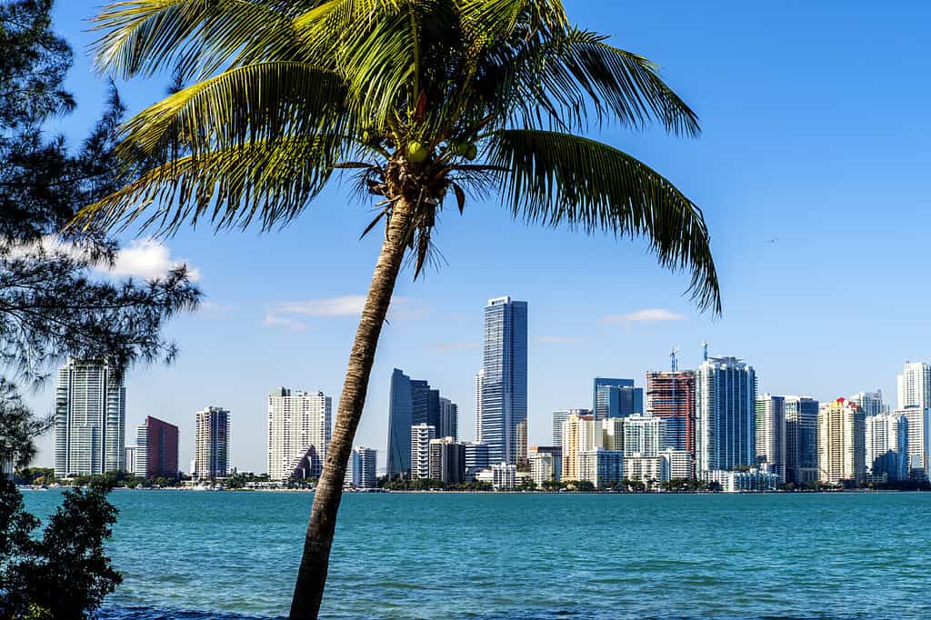 Orizzonte del centro di Miami durante il giorno con Biscayne Bay.