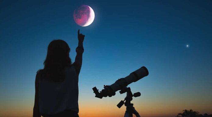 Ragazza che guarda l'eclissi lunare attraverso un telescopio.  Il mio lavoro di astronomia.